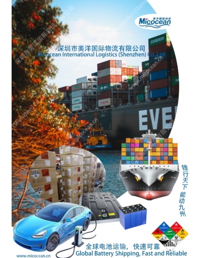 湖南貨運(yùn)代理電池國際物流服務(wù)方案
